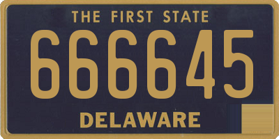 DE license plate 666645