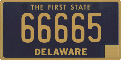 DE license plate 66665