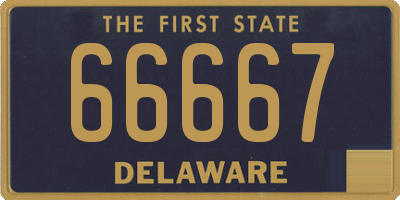 DE license plate 66667