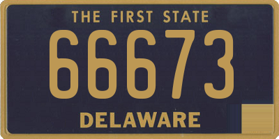 DE license plate 66673