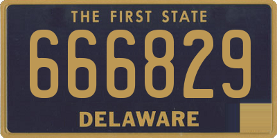 DE license plate 666829