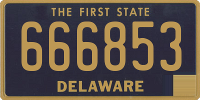 DE license plate 666853