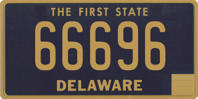DE license plate 66696