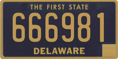 DE license plate 666981