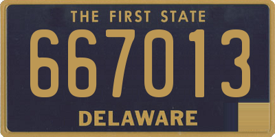 DE license plate 667013