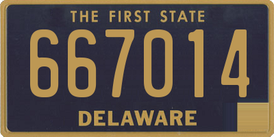 DE license plate 667014