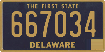DE license plate 667034