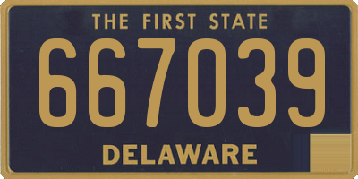 DE license plate 667039