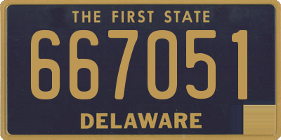 DE license plate 667051