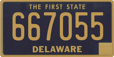 DE license plate 667055