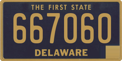 DE license plate 667060