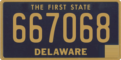 DE license plate 667068