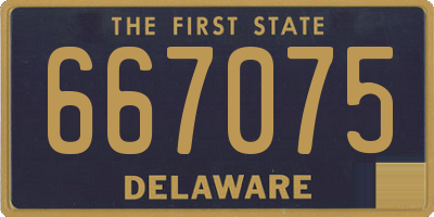 DE license plate 667075