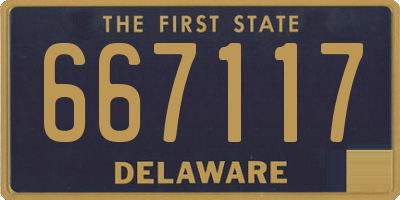 DE license plate 667117