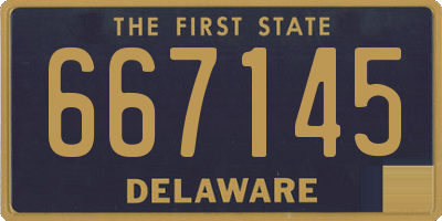 DE license plate 667145