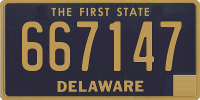 DE license plate 667147