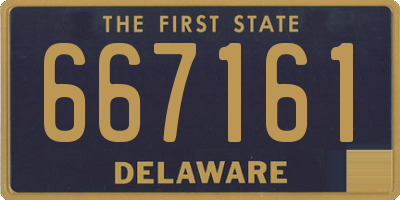 DE license plate 667161