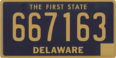 DE license plate 667163