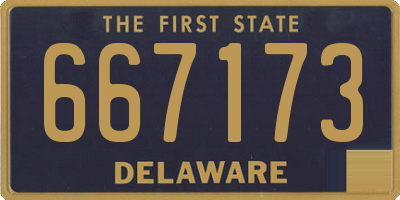 DE license plate 667173