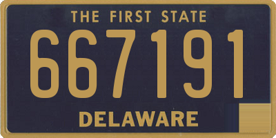 DE license plate 667191