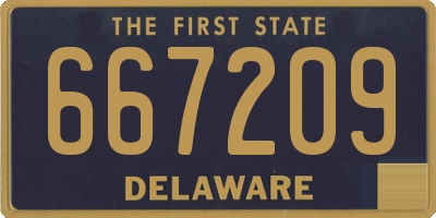 DE license plate 667209