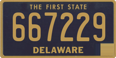 DE license plate 667229