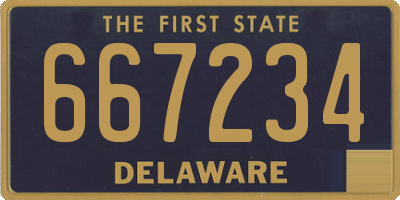 DE license plate 667234
