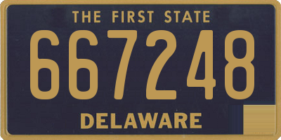 DE license plate 667248