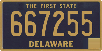 DE license plate 667255