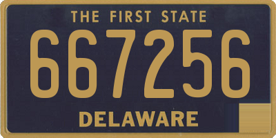 DE license plate 667256