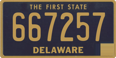 DE license plate 667257