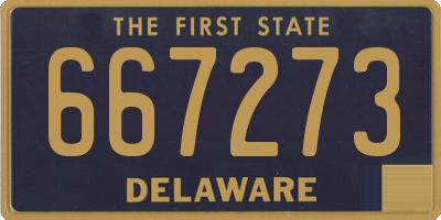 DE license plate 667273
