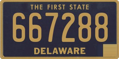 DE license plate 667288
