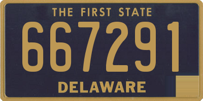 DE license plate 667291