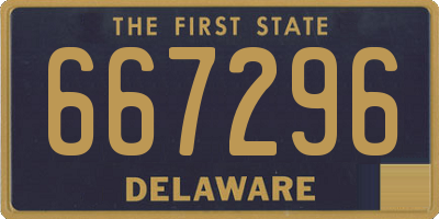 DE license plate 667296