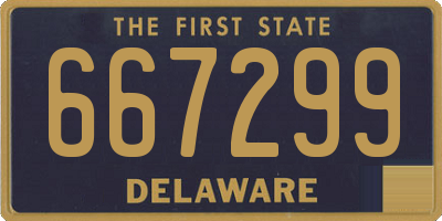 DE license plate 667299