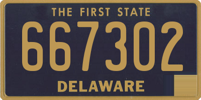 DE license plate 667302