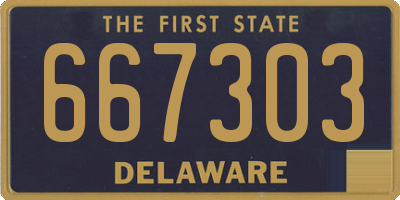 DE license plate 667303