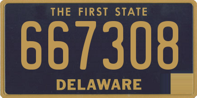 DE license plate 667308