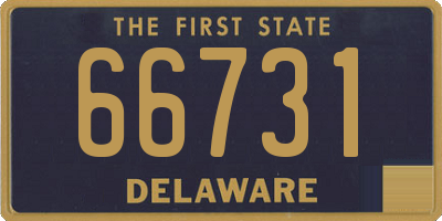 DE license plate 66731