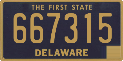 DE license plate 667315
