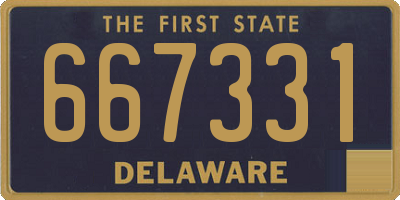 DE license plate 667331