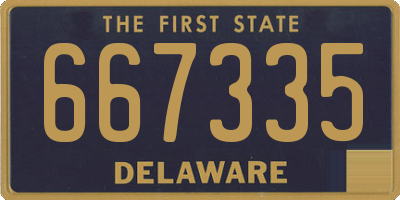 DE license plate 667335