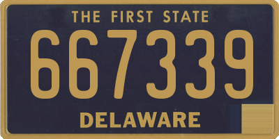 DE license plate 667339