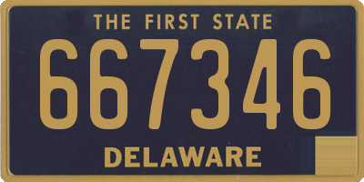 DE license plate 667346
