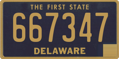DE license plate 667347