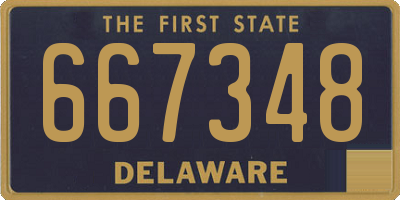 DE license plate 667348