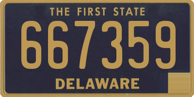 DE license plate 667359