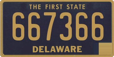 DE license plate 667366