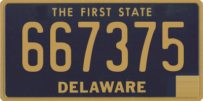 DE license plate 667375